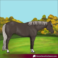 Horse Color:Silver Black 