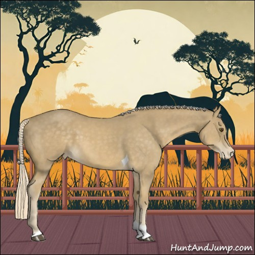 Horse Color:Palomino Mushroom Tobiano Varnish