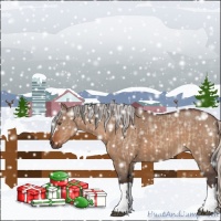 Horse Color:Brown Dun  and Silver Brown Dun 