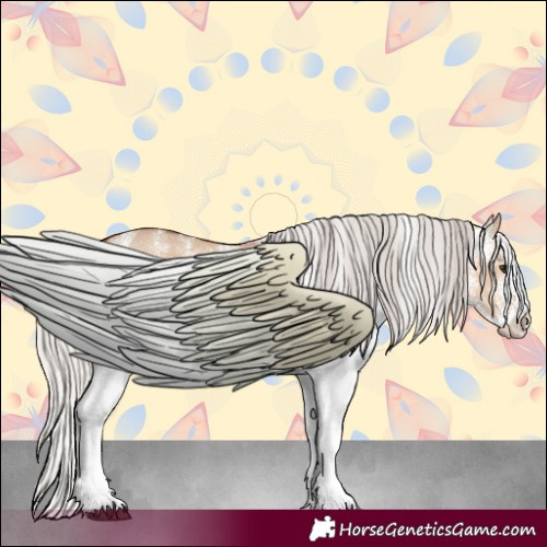 Horse Color:White Spotted Silver Bay Dun 