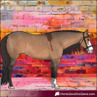 Horse Color:Bay Dun Sabino 