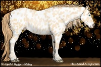 Horse Color:Smoky Black Pearl Appaloosa 
