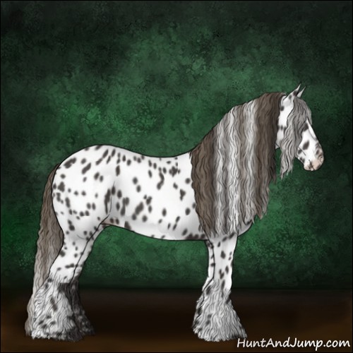 Horse Color:Smoky Black Near Leopard