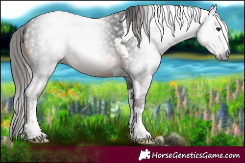 Horse Color:Gray Liver Chestnut Tobiano