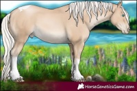 Horse Color:White Spotted Silver Smoky Black Pearl Tobiano