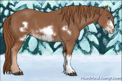 Horse Color:Chestnut Frame 