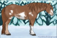 Horse Color:Chestnut Frame 