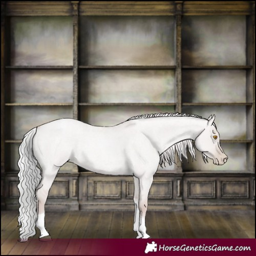 Horse Color:Platinum Silver Grullo Roan Pearl Tobiano