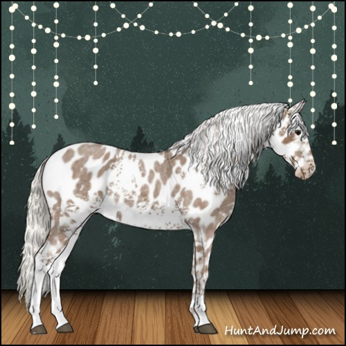 Horse Color:White Spotted Silver Smoky Blue Roan Appaloosa 