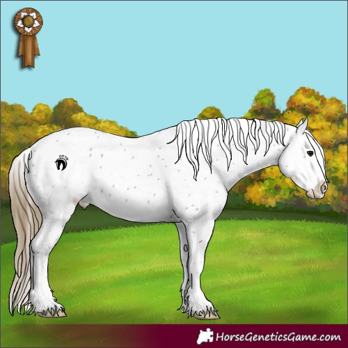 Horse Color:Smoky Black Leopard