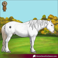 Horse Color:Smoky Black Leopard 