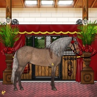 Horse Color:Silver Brown Dun Sabino  and Silver Brown Dun Sabino 