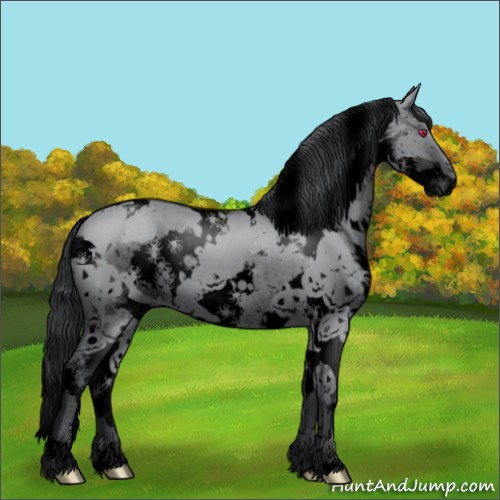 Horse Color:Void White Spotted Grullo Chinchilla Splash 