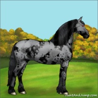 Horse Color:Void White Spotted Grullo Chinchilla Splash 