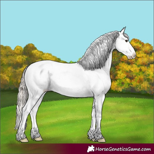 Horse Color:White Spotted Liver Red Dun Mushroom Appaloosa 