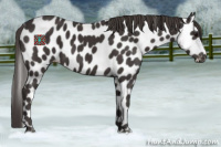 Horse Color:Smoky Black Leopard