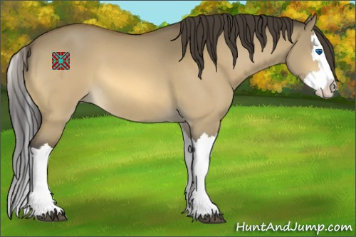 Horse Color:Buckskin Dun Splash 