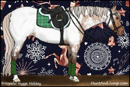 Horse Color:Silver Bay Roan Dun Appaloosa 