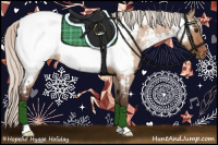 Horse Color:Silver Bay Roan Dun Appaloosa 