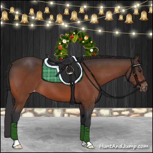 Horse Color:Brown Appaloosa 