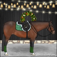 Horse Color:Brown Appaloosa