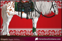 Horse Color:Bay Splash Appaloosa 