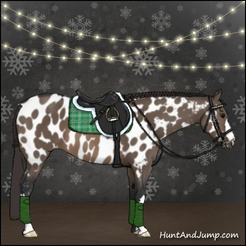 Horse Color:Brown Dun Appaloosa 