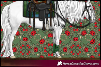 Horse Color:Gray Bay Dun Appaloosa 