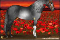 Horse Color:Gray Black 