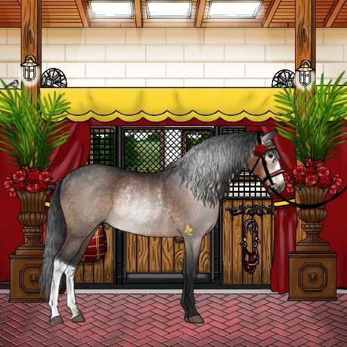 Horse Color:Gray Brown Rabicano 