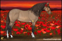 Horse Color:Bay Dun Tobiano Varnish Rabicano 