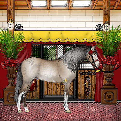 Horse Color:Gray White Spotted Sable Champagne Dun 