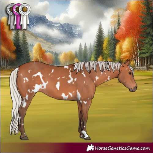 Horse Color:White Spotted Silver Bay 