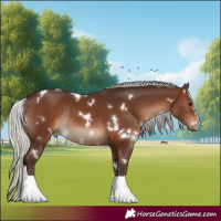 Horse Color:White Spotted Silver Brown Rabicano 