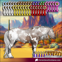 Horse Color:White Spotted Silver Brown Dun Mushroom 