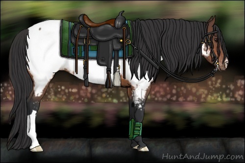 Horse Color:Bay Near Fewspot 