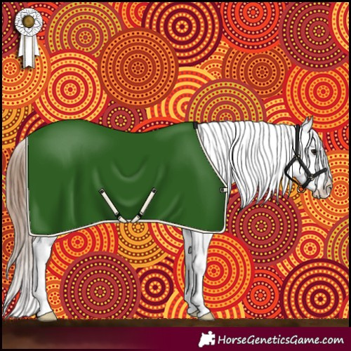 Horse Color:Bay Appaloosa Rabicano 