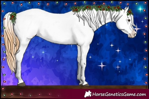 Horse Color:Red Dun Near Leopard  and Red Dun Near Leopard 