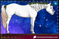 Horse Color:Red Dun Near Leopard  and Red Dun Near Leopard 