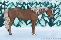 Horse Color:Silver Black 