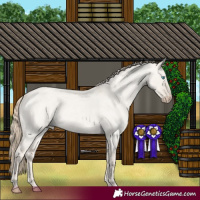 Horse Color:Smoky Creme Roan Dun 