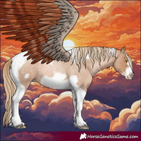 Horse Color:Red Roan Pearl Tobiano Frame