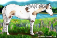 Horse Color:Silver Brown Onyx Splash Tobiano