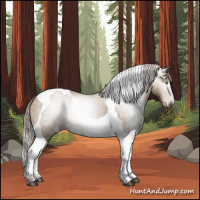 Horse Color:Gray Silver Grullo Pearl Tobiano