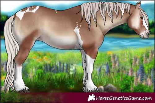 Horse Color:Silver Blue Onyx Tobiano 