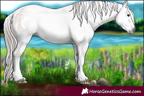 Horse Color:Gray Red Onyx Splash Tobiano 