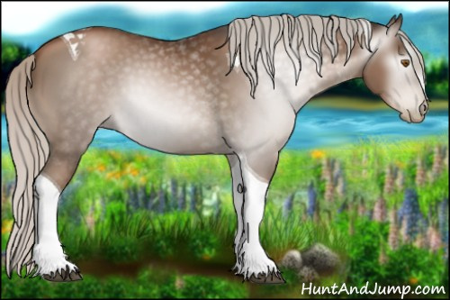 Horse Color:Gray Silver Black Pearl Tobiano 