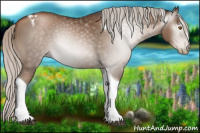 Horse Color:Gray Silver Black Pearl Tobiano