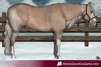 Horse Color:White Spotted Silver Brown Dun Tobiano 
