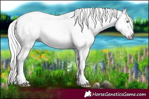 Horse Color:Gray Sable Champagne Tobiano Frame 